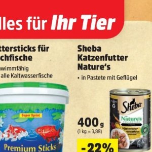  bei Thomas Philipps