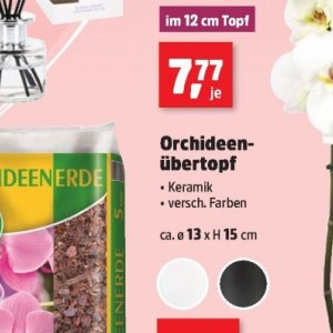 Keramik bei Thomas Philipps