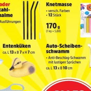 Schwamm bei Thomas Philipps