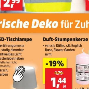 Rose bei Thomas Philipps