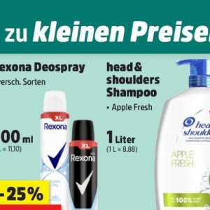 Shampoo bei Thomas Philipps