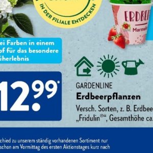 Gartengarnituren bei Aldi SÜD