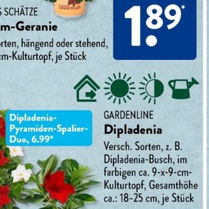 Gartengarnituren bei Aldi SÜD