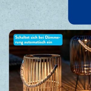 Pflanzen bei Aldi SÜD