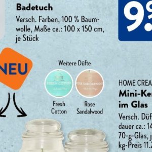 Rose bei Aldi SÜD