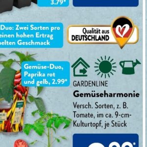 Gartengarnituren bei Aldi SÜD