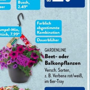 Gartengarnituren bei Aldi SÜD
