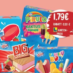 Kaktus bei Elli Markt