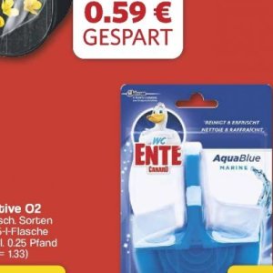 Ente bei Famila Nord West