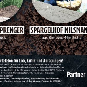 Schnittblumen bei Elli Markt