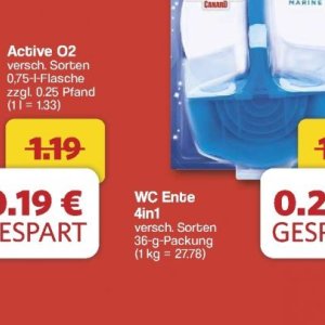 Ente bei Famila Nord West