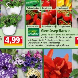 Pflanzen bei Norma