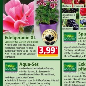 Garten bei Norma
