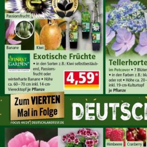 Pflanzen bei Norma