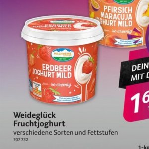 Joghurt bei Selgros