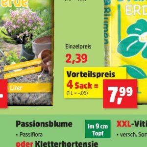 Sack bei Thomas Philipps