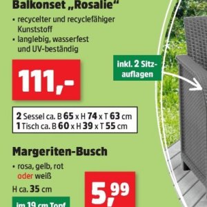 Sessel bei Thomas Philipps