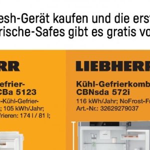 Kühl-gefrierkombination bei Expert Technomarkt