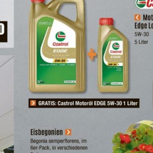   bei V-Baumarkt