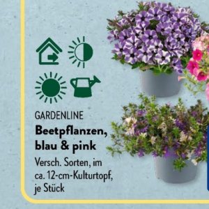 Gartengarnituren bei Aldi SÜD