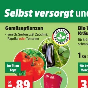 Tomaten bei Thomas Philipps