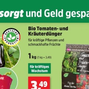 Pflanzen bei Thomas Philipps