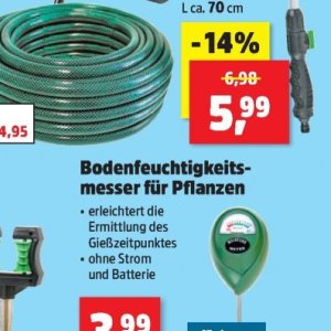 Pflanzen bei Thomas Philipps