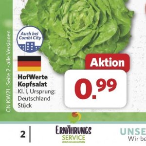 Kopfsalat bei Combi