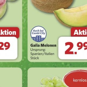 Melonen bei Combi