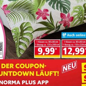 Kissen bei Norma