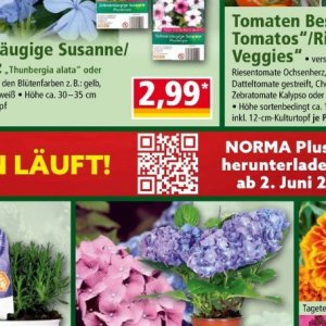 Schweinefleisch bei Norma