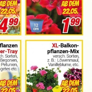 Pflanzen bei Centershop