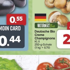 Champignons bei Famila Nord West