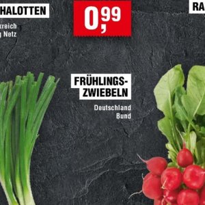 Zwiebeln bei Handelshof