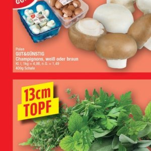 Champignons bei Elli Markt