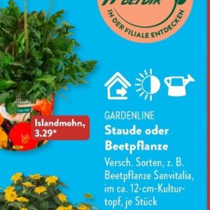 Gartengarnituren bei Aldi SÜD