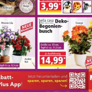   bei Norma