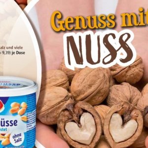 Nuss bei Norma