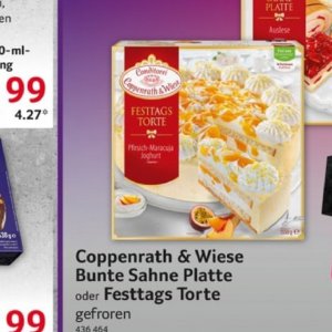 Joghurt bei Selgros