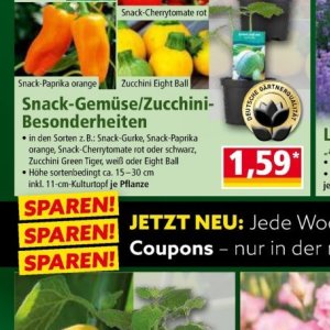 Zucchini bei Norma