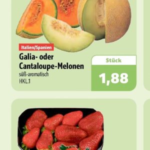 Melonen bei Aktiv Irma