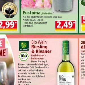 Wein bei Norma