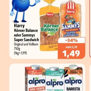Sandwich bei Aktiv Irma