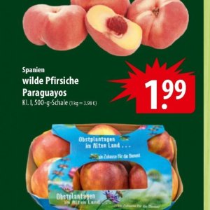 Pfirsiche bei Famila Nord Ost