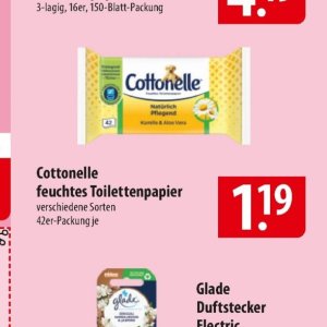 Aloe bei Famila Nord Ost