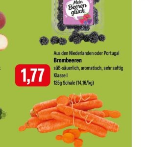 Brombeeren bei Feneberg