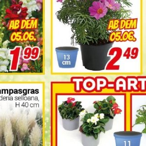 Top bei Centershop