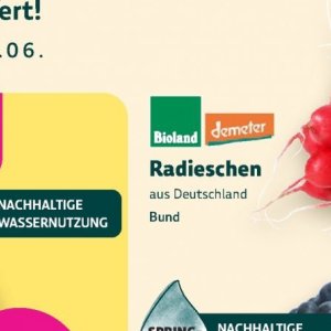 Radieschen bei BioMarkt