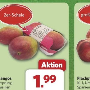 Mango bei Combi