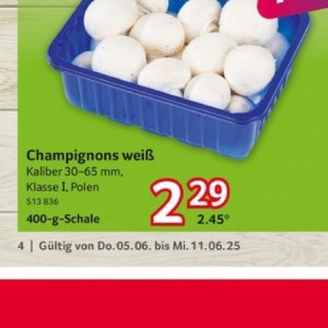 Champignons bei Selgros